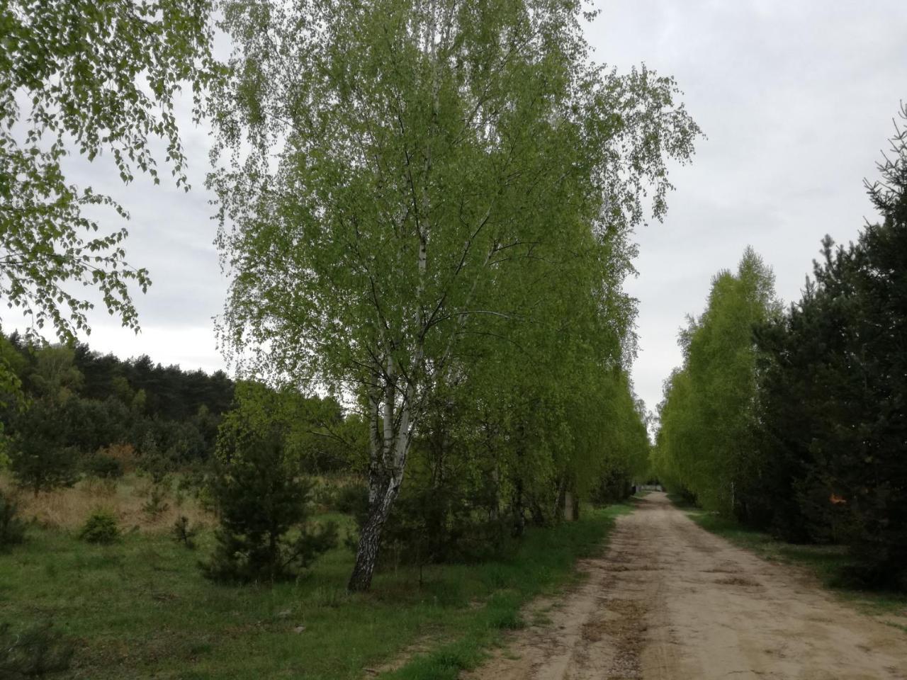 Szydlowiec Anastazewo Exterior foto